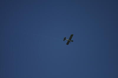 IMG 1539